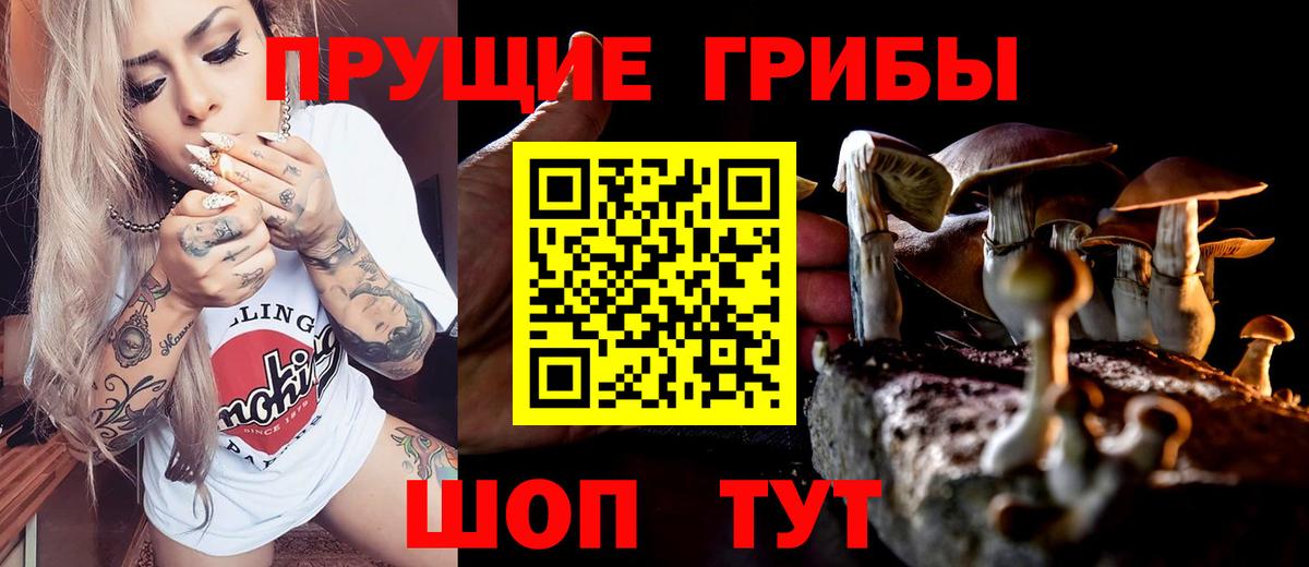 Галлюциногенные грибы Magic Shrooms  Вход с VPN  Шелехов 